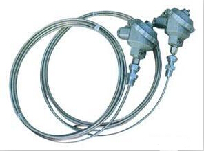 双支铠装热电阻WZPK2-336